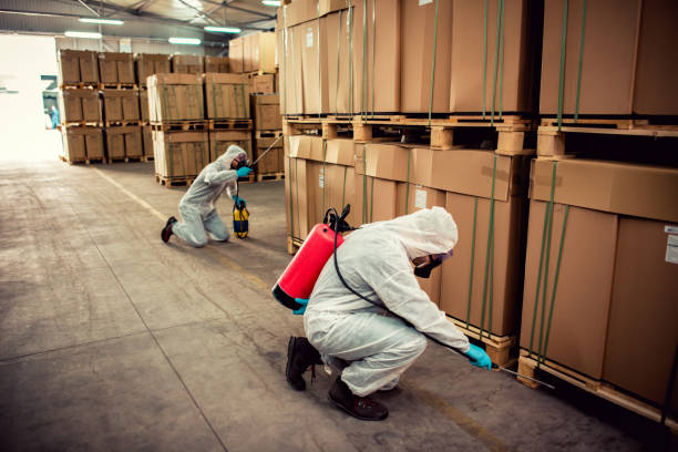 Best Pest Removal Services  in Johnstown, CO