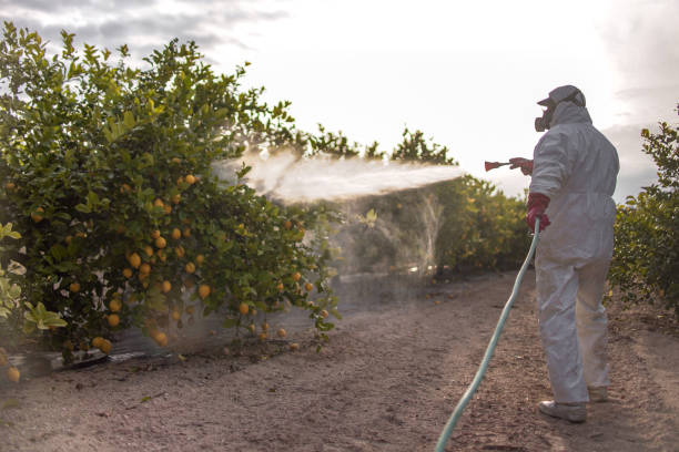 Best Bed Bug Extermination  in Johnstown, CO