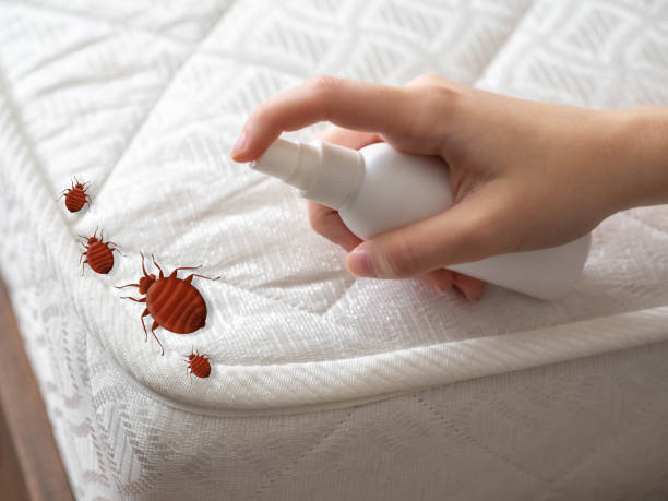Best Pest Inspection Near Me  in Johnstown, CO
